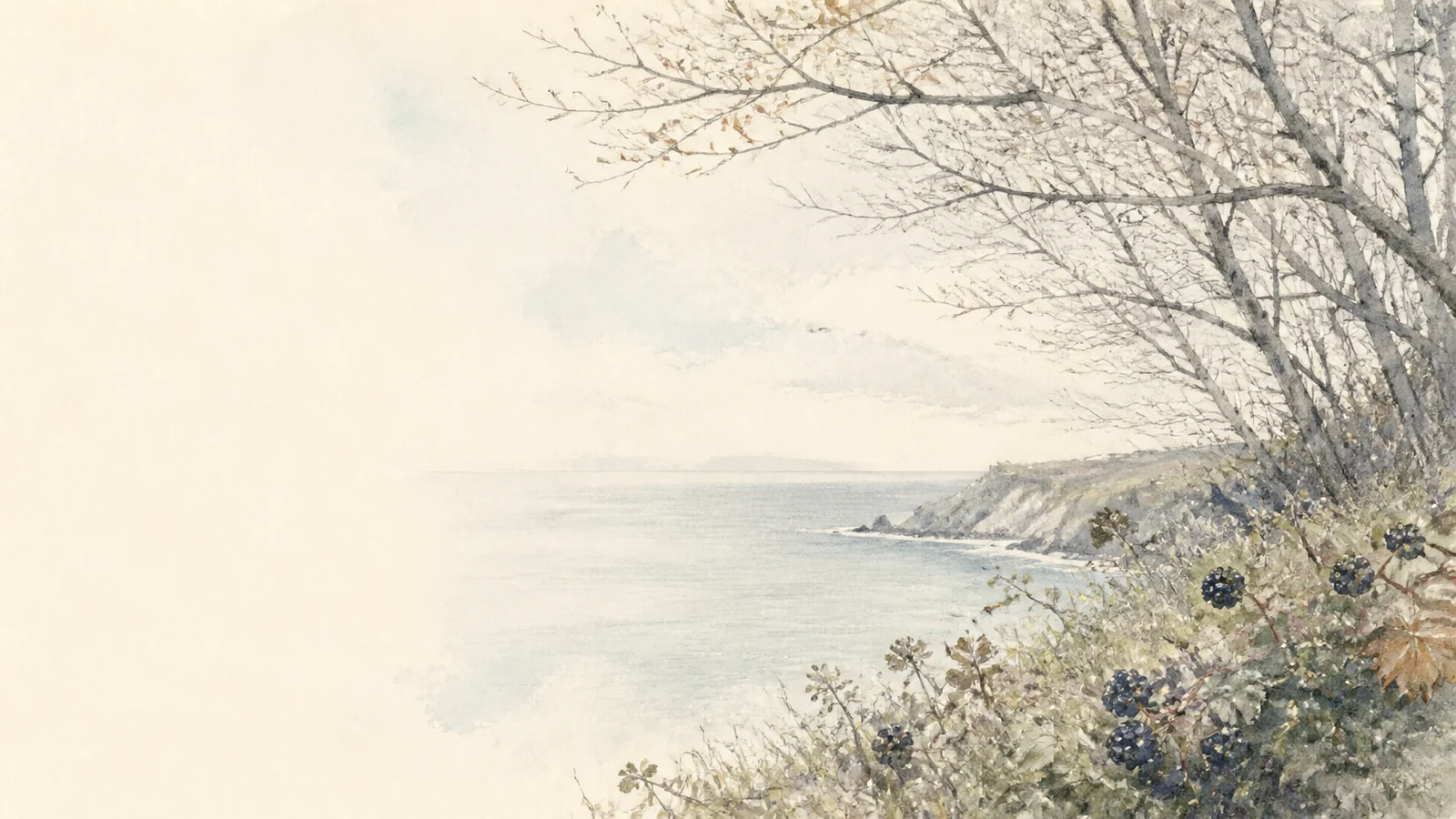 An opening to sea and sky beyond fine tangled woodland branches.