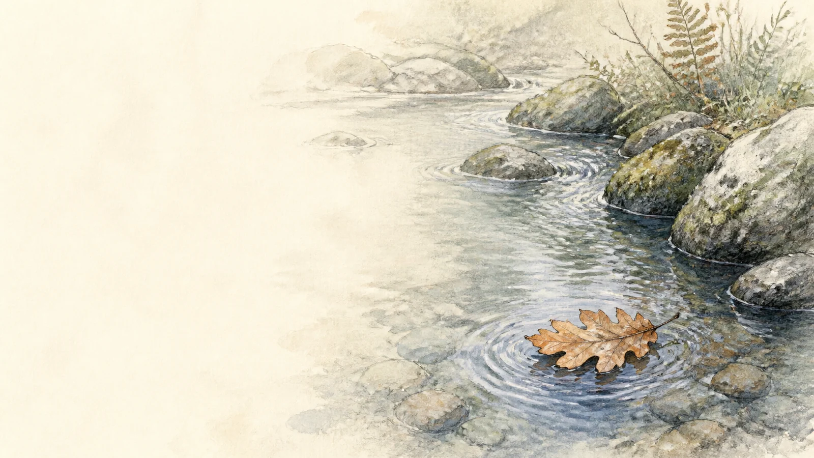 A fallen oak leaf floating around stones in a quiet stream.